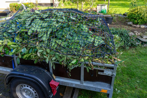 Best Same-Day Junk Removal Services  in Camilla, GA